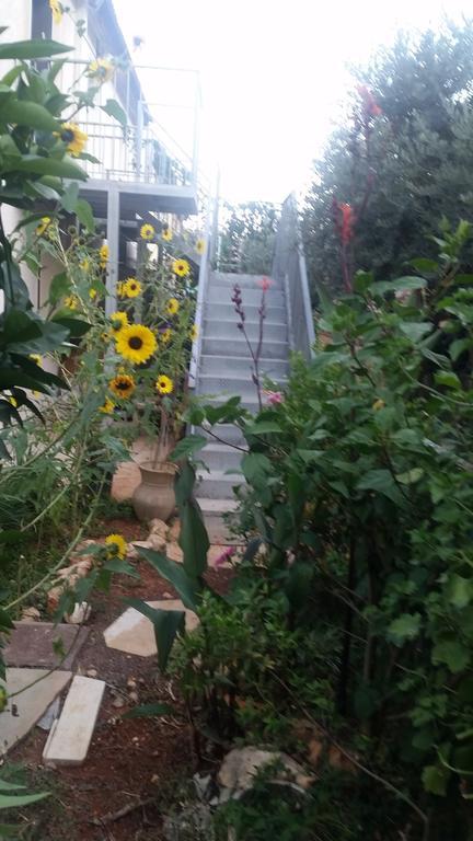 Amazing Galilee View Apartment Safed Exterior photo